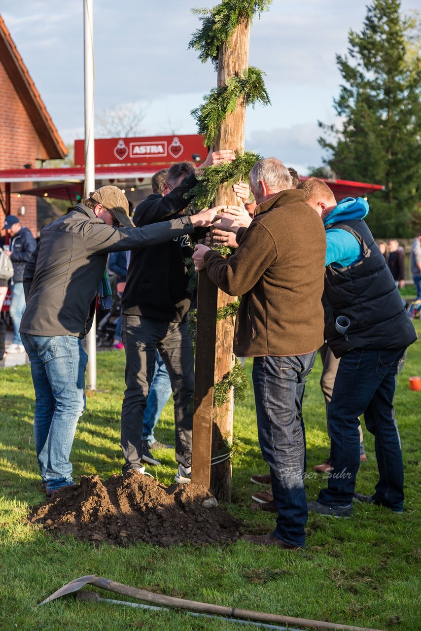 Bild 73 - Maibaum